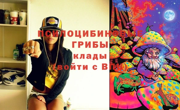 PSILOCYBIN Медвежьегорск