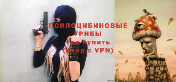 тгк Медногорск