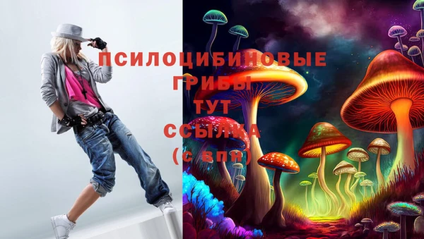 тгк Медногорск