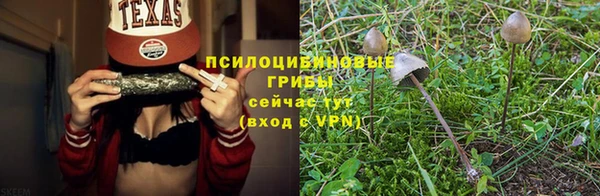 тгк Медногорск