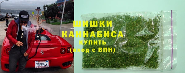 тгк Медногорск