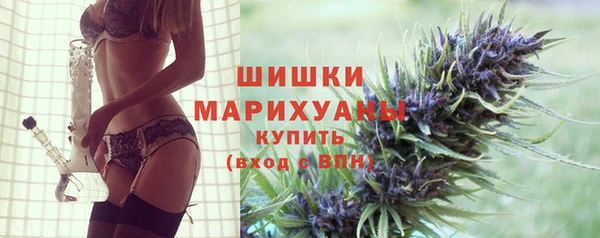 PSILOCYBIN Медвежьегорск