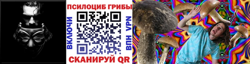 Псилоцибиновые грибы Cubensis  Нижняя Тура 