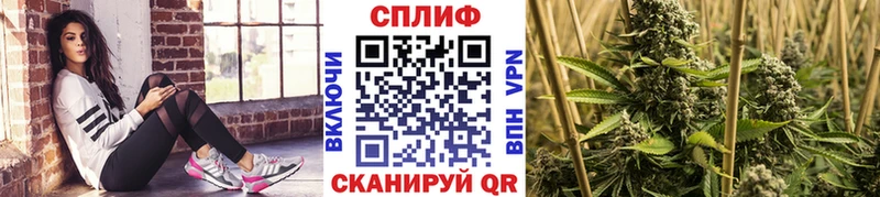 Канабис THC 21%  продажа наркотиков  Нижняя Тура 